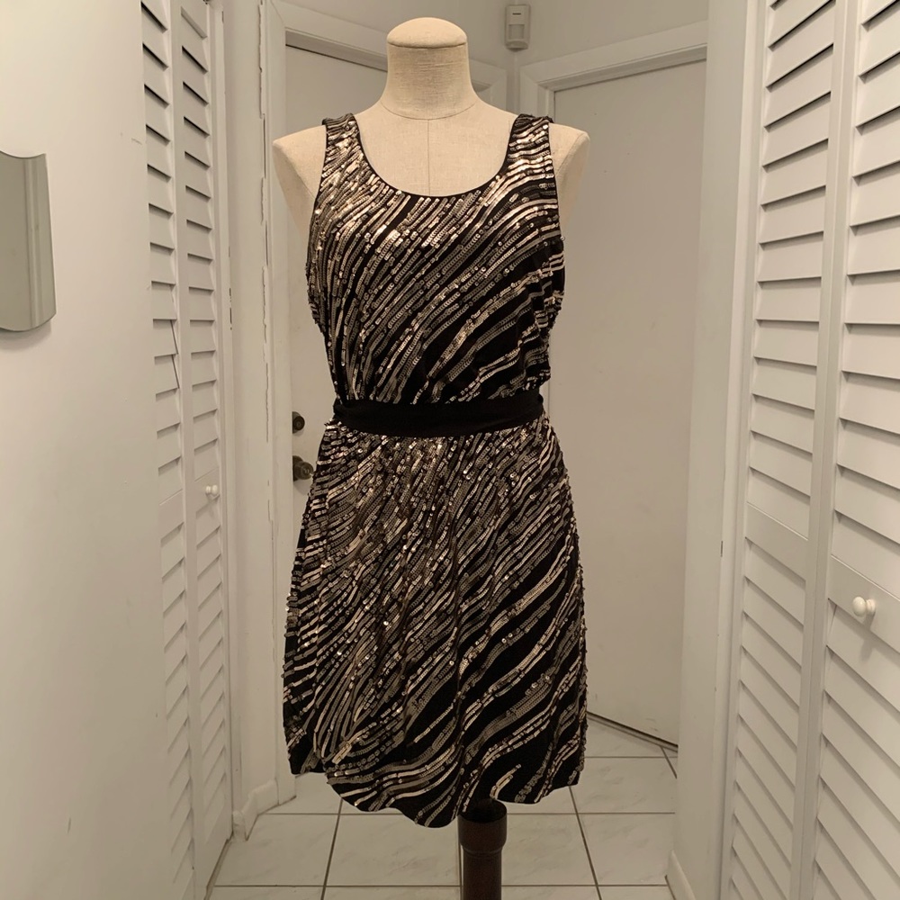 Express Sequin Dress